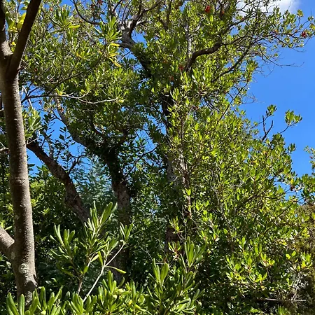 Beautiful Tigullio Casa Vintage, Parcheggio, 10 Min Da Cavi Borgo Vista Mare *