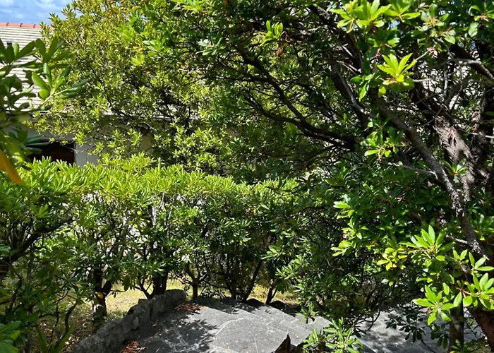 Beautiful Tigullio Casa Vintage, Parcheggio, 10 Min Da Cavi Borgo Vista Mare